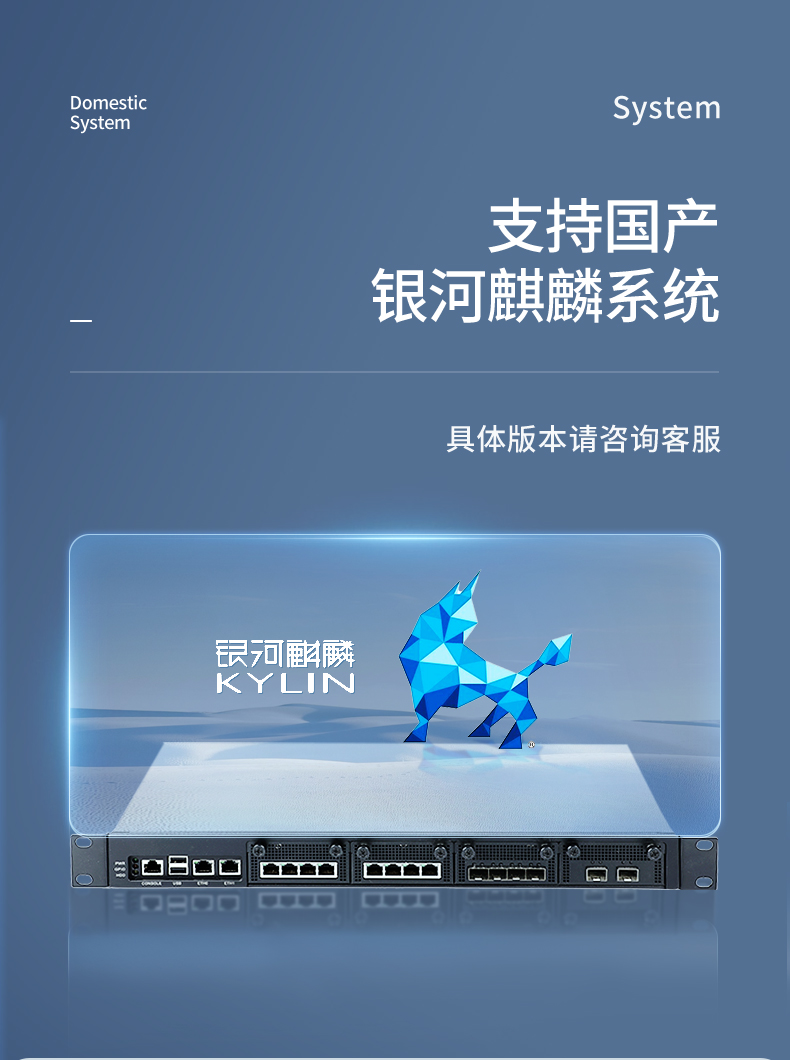 飛騰國產化浙江工控機,國產化系統,DT-12420-SD2000.jpg
